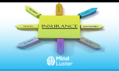 Insurance Domain Knowledge for Software Professionals