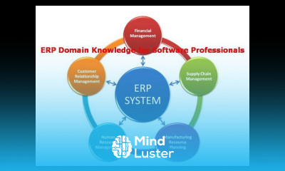 ERP Domain Knowledge for Software Professionals