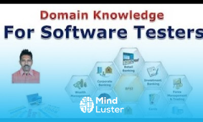 Domain Knowledge for Software Professionals