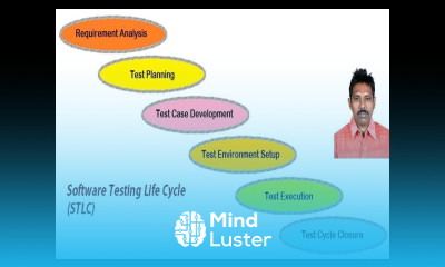 2 Software Test Process