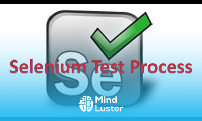3 Selenium Testing Process