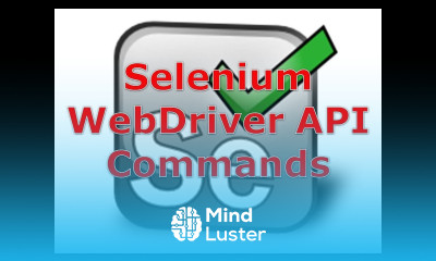 23 Selenium WebDriver Commands