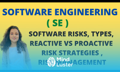 Software Risks Strategies Types Risk Management SE