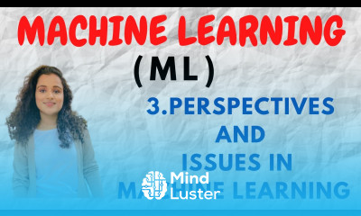 3 Perspectives and Issues in Machine Learning ML