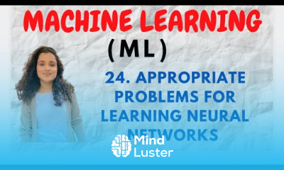 24 Appropriate Problems for Learning Neural Networks ML