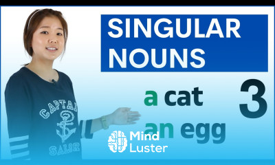 Learn Singular Nouns a an noun Basic English Grammar Course