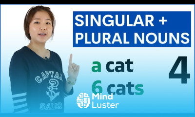 Learn Singular and Plural Nouns s es Basic English Grammar Course
