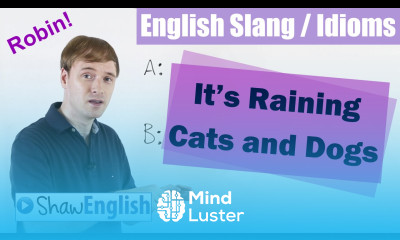 English Slang Idioms It s Raining Cats and Dogs