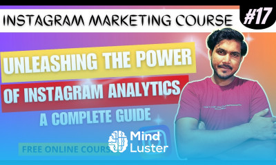 How to Use Instagram Insights How to check Instagram analytics