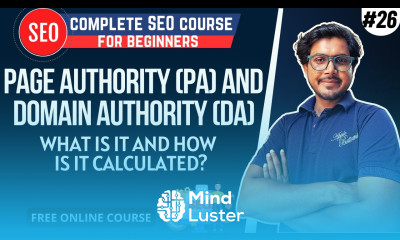 What are Domain Authority and Page Authority Check the Domain Authority