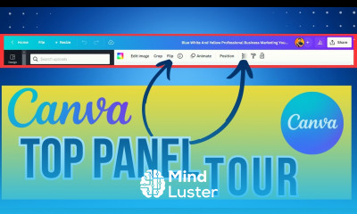 CANVA Editor Tour Top Panel Explained How to Use Canva A Beginner s Guide