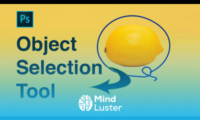 Photoshop Object Selection Tool Tutorial 2023 Lesson 6