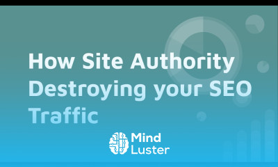 Is Google only Showing High Authority Popular Trusted Sites on the Top Ranking