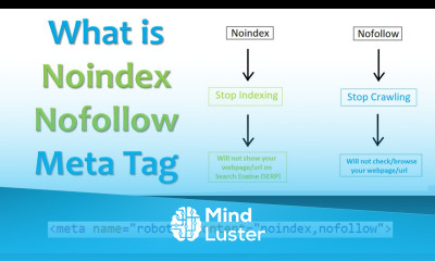 What is Noindex Nofollow Meta Tag in SEO A Complete Guide