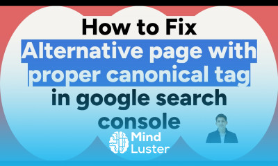 Alternative page with proper canonical tag Google Search Console