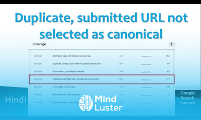Duplicate submitted URL not selected as canonical Google Search Console Hindi