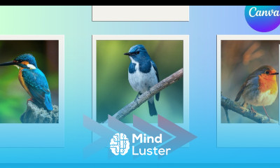 How to Create Photo Slide Animation in Canva