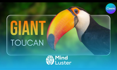 Canva Lower Third Animation Tutorial