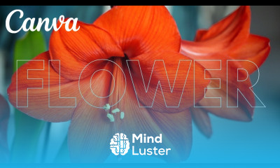 how to make Transparent Text effect with canva