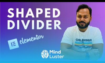 Shaped Divider in Elementor Introducing Shaped Dividers in Elementor