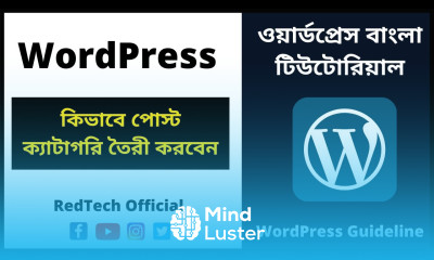 12 কিভাবে পোস্ট ক্যাটাগরি তৈরী করবেন How To Create Post Categories in WordPress