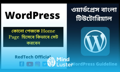 15 How to Set Home Page as Front Page in WordPress কোনো পেজকে Home Page হিসেবে কিভাবে সেট করবেন
