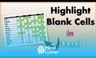 How to Highlight Blank Cells in Excel