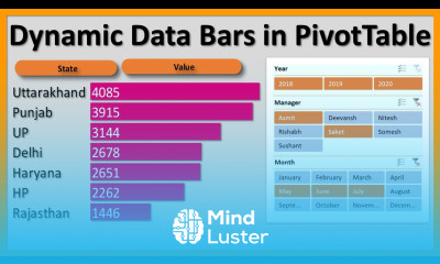 Dynamic Data Bars in Excel Pivot Table Excel Dashboard Tips