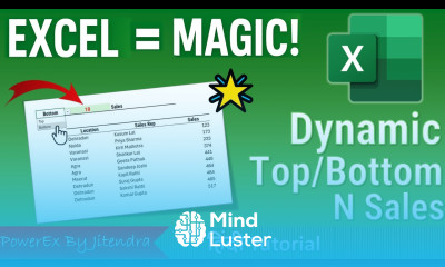 Fully Dynamic Top Bottom N Sales Report in Excel