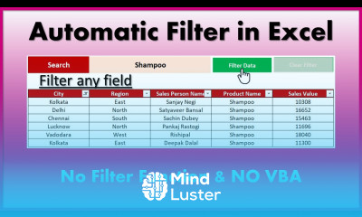 Automatic Filter in Excel Hindi