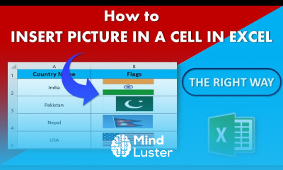 How to Insert and Filter Picture in Excel