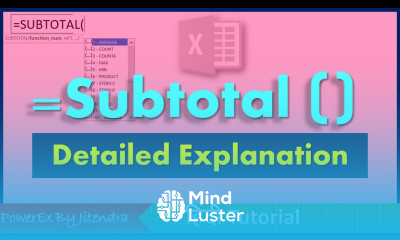 How to use Subtotal Function in Excel