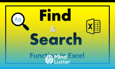 How to use Find and Search Function in Excel
