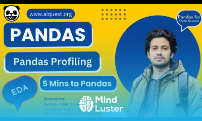 Pandas Profiling for Exploratory Data Analysis 5 Minutes to Pandas