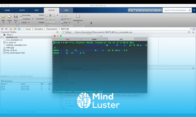 Learn MATLAB Episode 10 Loading Saving Data