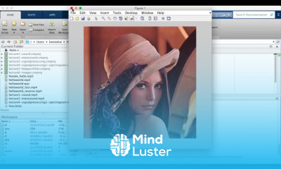 Learn MATLAB Episode 17 Image Processing