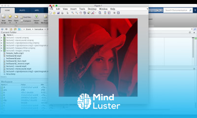 Learn MATLAB Episode 18 Image Manipulation Exercises