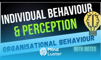 Perception Process of perception Individual behaviour Models of individual behaviour bbabcom