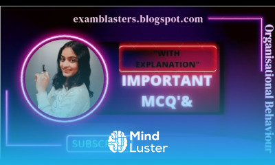 Important MCQs of organisational behaviour Organisational behaviour mcq question PART 2 bba2022
