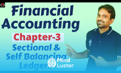 11 Financial Accounting Chapter 3 Sectional Self Balancing Ledgers