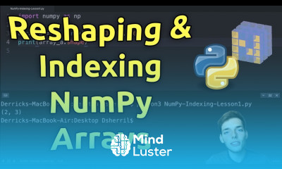 Reshaping Indexing NumPy Arrays Learn NumPy Series