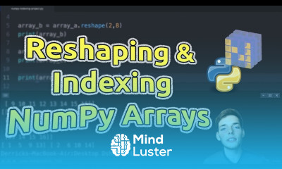 NumPy Basic Indexing Reshaping Practice Learn NumPy Series