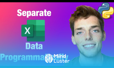 Separate Excel Data into Workbooks by Column Values Python Pandas Tutorial