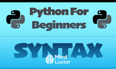Learn Python 2 Syntax Commenting
