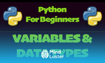 Learn Python 3 Variables Data Types