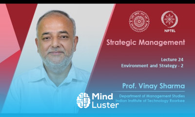 Lecture 24 Environment and Strategy – 2