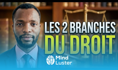 Les Catégories du Droit Tout Comprendre en Quelques Minutes