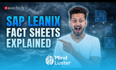 Data Import and Fact Sheet Management SAP LeanIX ZaranTech