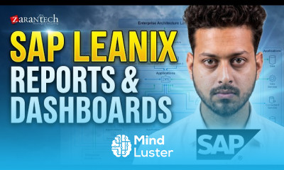 Enterprise Architecture Reports and Dashboards SAP LeanIX ZaranTech