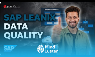 Application Portfolio Assessment and Data Quality SAP LeanIX ZaranTech